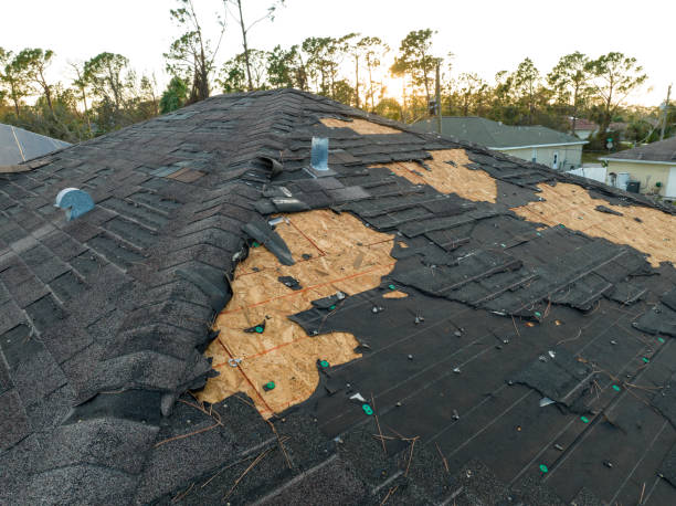 Best Roof Insulation Installation  in Suisun City, CA